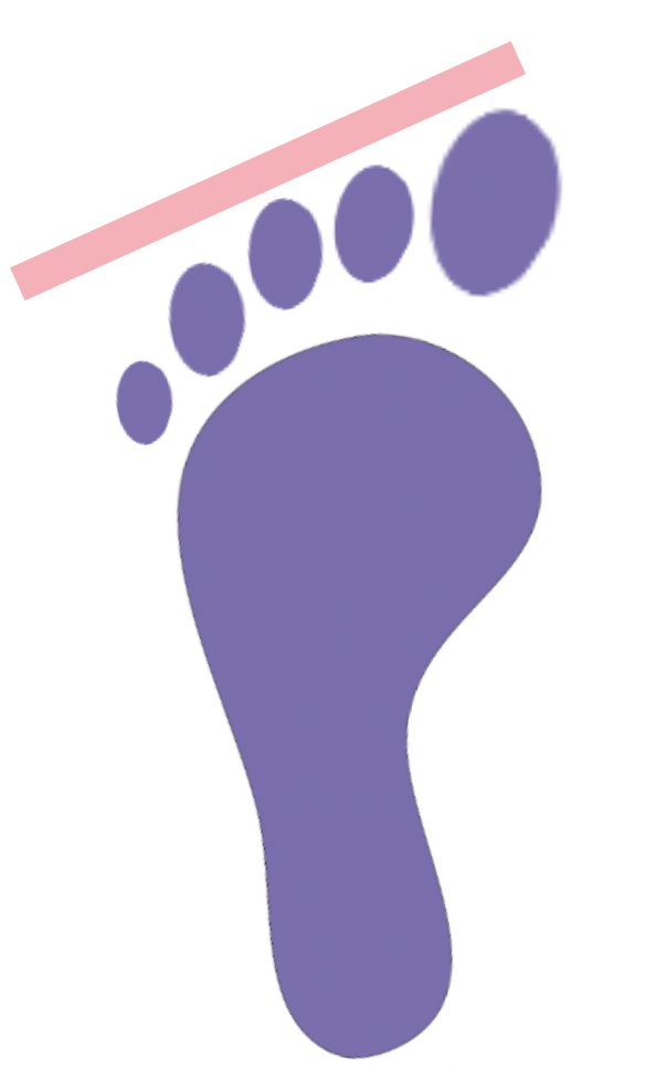 Egyptian Foot Shape